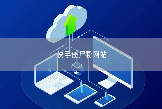 快手僵尸粉网站