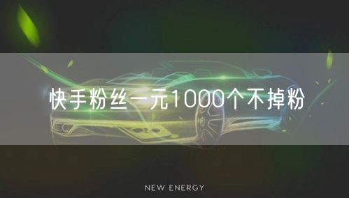 快手粉丝一元1000个不掉粉
