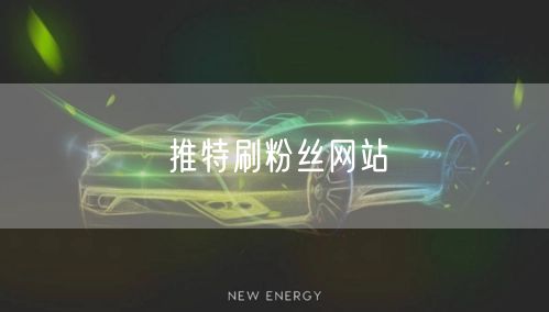 推特刷粉丝网站