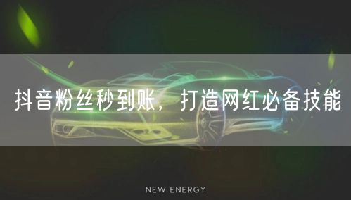 抖音粉丝秒到账，打造网红必备技能