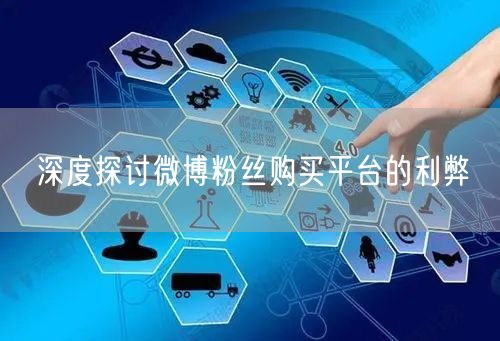 深度探讨微博粉丝购买平台的利弊