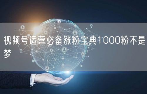 视频号运营必备涨粉宝典1000粉不是梦