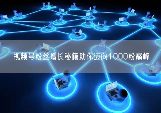 视频号粉丝增长秘籍助你迈向1000粉巅峰