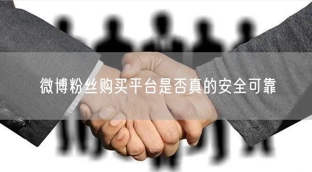 微博粉丝购买平台是否真的安全可靠