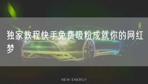 独家教程快手免费吸粉成就你的网红梦