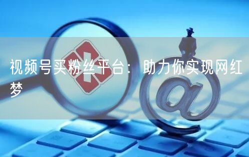 视频号买粉丝平台：助力你实现网红梦